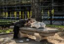 Holivud s druge strane ogledala: Tragična priča Loni Vilson i lekcije koje ne smemo zaboraviti