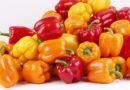 Recept za kisele paprike sa bijelim lukom: Tradicionalna zimnica bez kuhanja